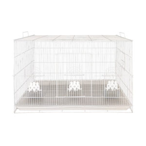 قفس عروس هلندی قفس سازی پژاوند مدل C