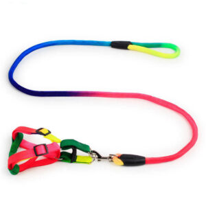 قلاده و بند قلاده سگ و گربه مدل RAINBOW