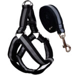 قلاده کتفی و بند قلاده سگ مدل شبرنگ کد 7