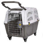 باکس سگ مدل رها 6