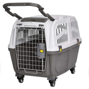 باکس سگ مدل رها 6