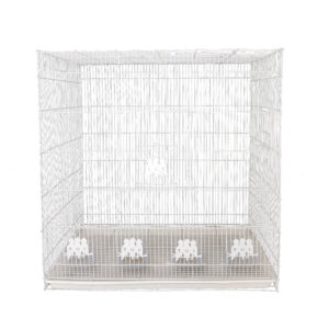 قفس عروس هلندی قفس سازی پژاوند مدل D