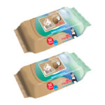 دستمال مرطوب حیوانات خانگی مستر پنگوئن مدل Coconut وزن 300 گرم بسته 2 عددی