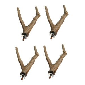 نشیمنگاه پرندگان مدل درختی بسته 4 عددی