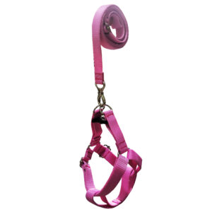 قلاده کتفی و بند قلاده سگ و گربه  مدل پرفکت کد 3