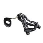 بند قلاده و قلاده کتفی سگ مدل داگ کد YP-HALOW-02