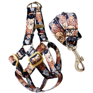 قلاده کتفی و بند قلاده سگ و گربه مدل بتا سایز اسمال