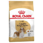 غذای خشک سگ رویال کنین مدل cavalier king charles adult وزن 1.5 كيلوگرم