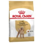 غذای خشک سگ رویال کنین مدل Poodle Adult وزن 3 کیلوگرم