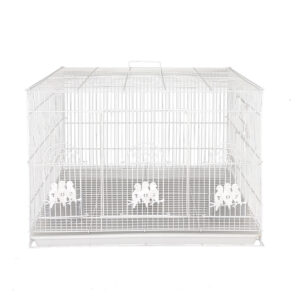 قفس عروس هلندی قفس سازی پژاوند مدل A