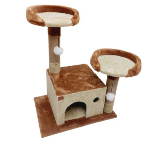 اسکرچر گربه آدریاناپت کو مدل اوکالیپتوس