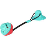 اسباب بازی سگ مدل دندانی TPR