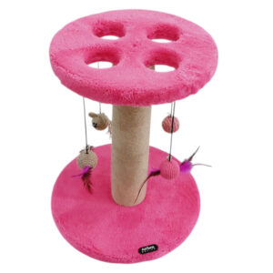 اسکرچر گربه آدریاناپت کو مدل شاتوت