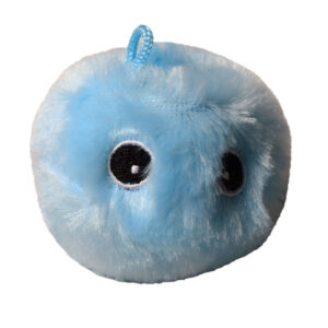 اسباب بازی گربه مدل صدادار