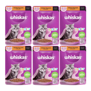 پوچ بچه گربه ویسکاس مدل Junior وزن 85 گرم بسته 6 عددی