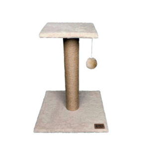 اسکرچر گربه مدل R8