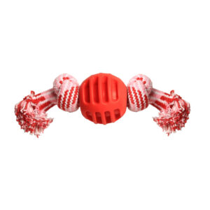 دندانی سگ مدل شکلات