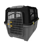 باکس سگ مدل رها