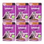 پوچ بچه گربه ویسکاس مدل Junior وزن 85 گرم بسته 6 عددی