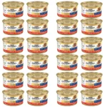 کنسرو گربه گورمت مدل پته گوشت وزن 85 گرم بسته 24 عددی